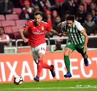 今年会体育 广东宏远最近消息 