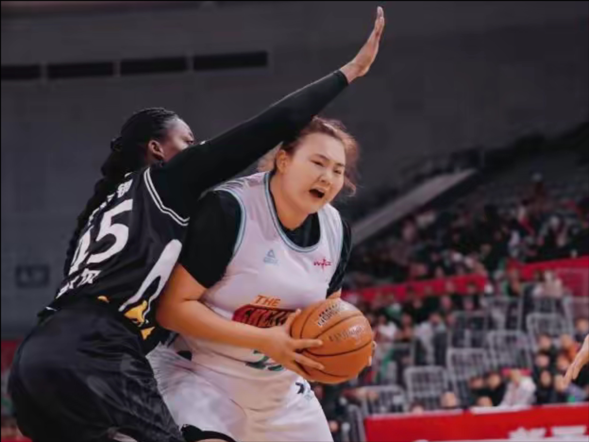 jinnianhui sports河北石家庄英励女篮名单